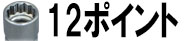 12ポイント