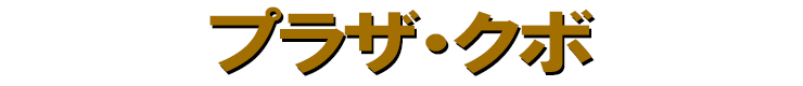 有限会社プラザクボ