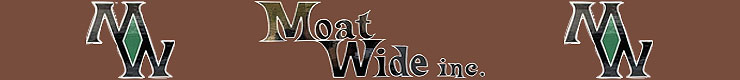 株式会社MOATWIDE