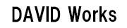 DAVID Works